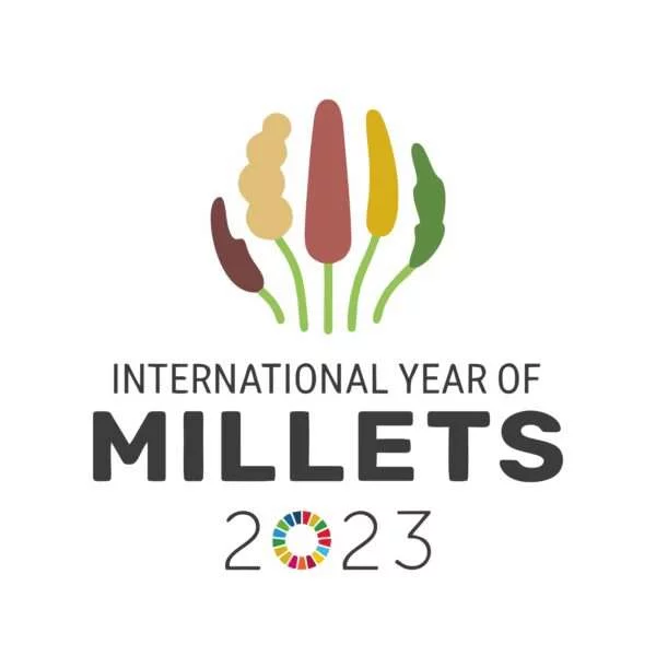 Internaltional-millet-year-600x600-1.webp