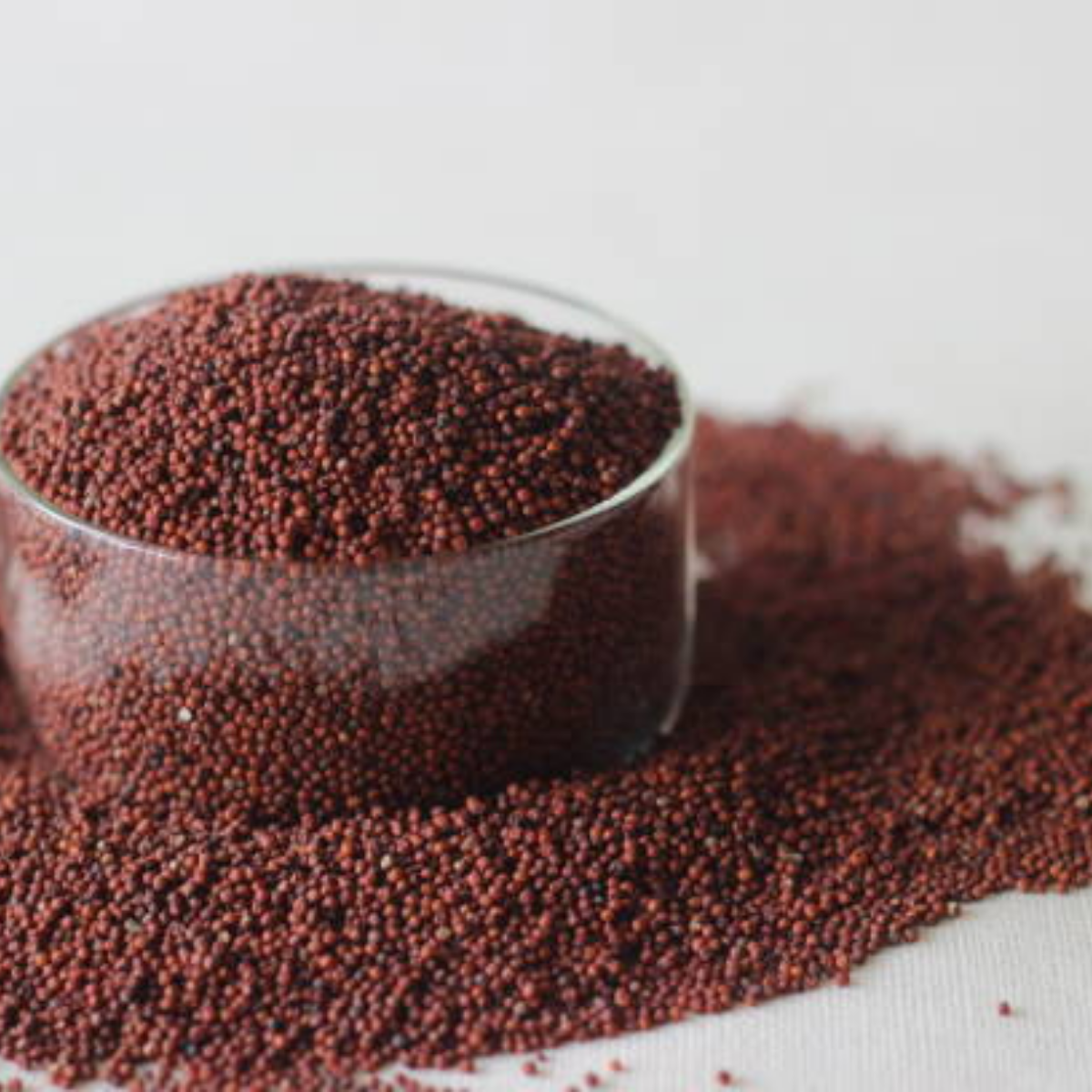 RAgi-2.png
