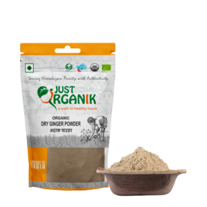 Dry Ginger Powder